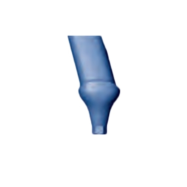 Bio3 Bio Line Angulated Abutment – Standard Canine 15 ...