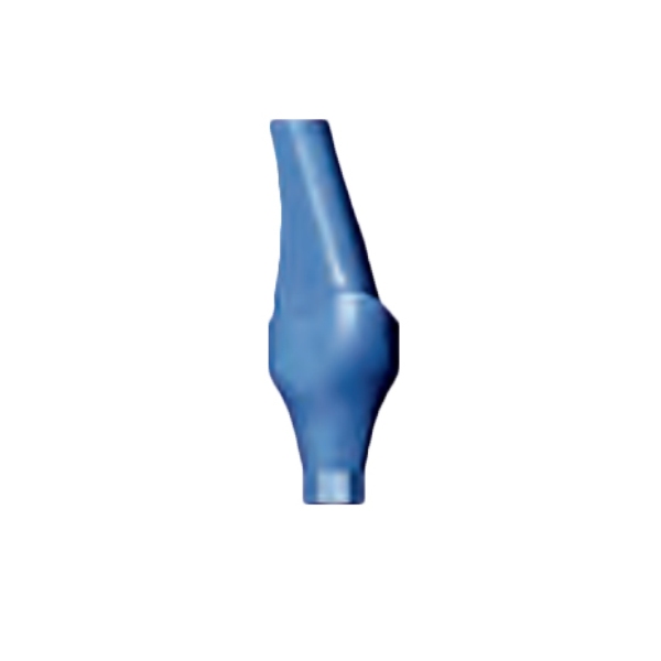 Bio3 Bio Line Angulated Abutment – Standard Incisor 15 ...