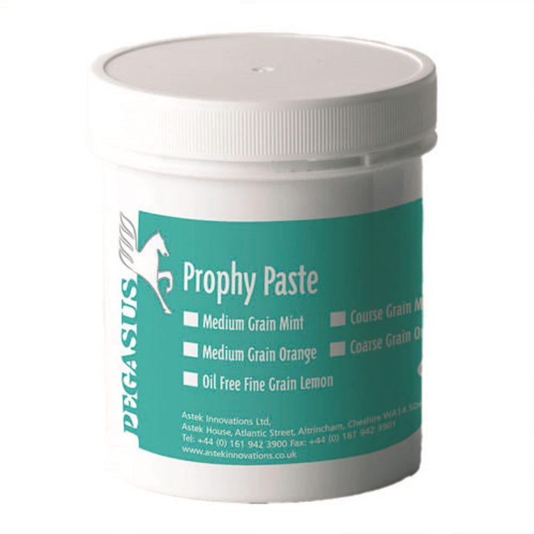 Pegasus Prophy Paste Medium Mint (250g) LavaDent Online