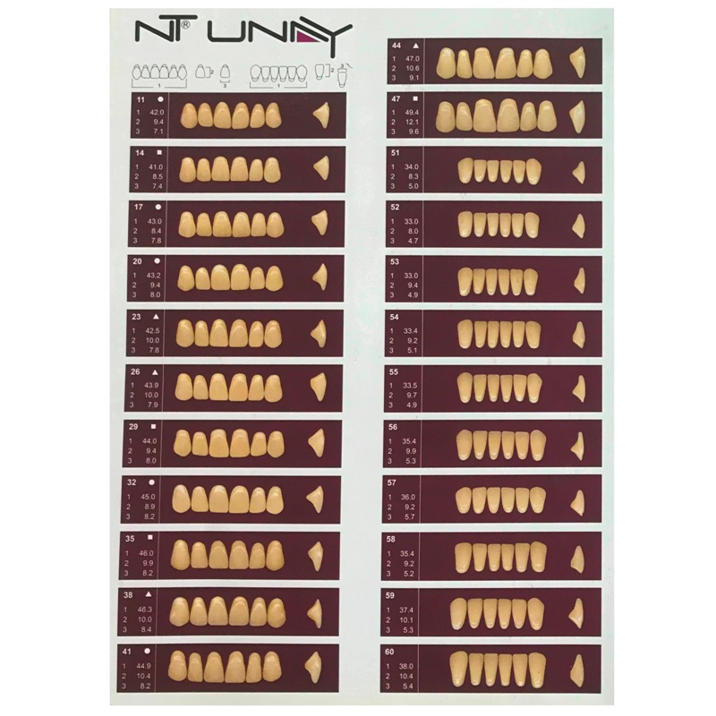 84Pcs Acrylic Synthetic Resin Denture Teeth – Vita Shade A2/A3 Upper & Lower